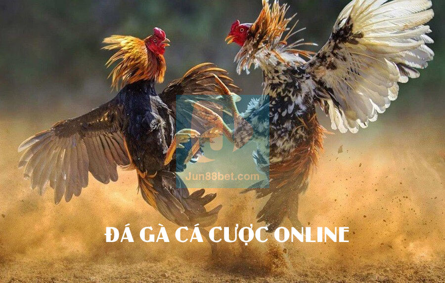 đá gà online hi88