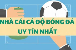 cá độ bóng đá